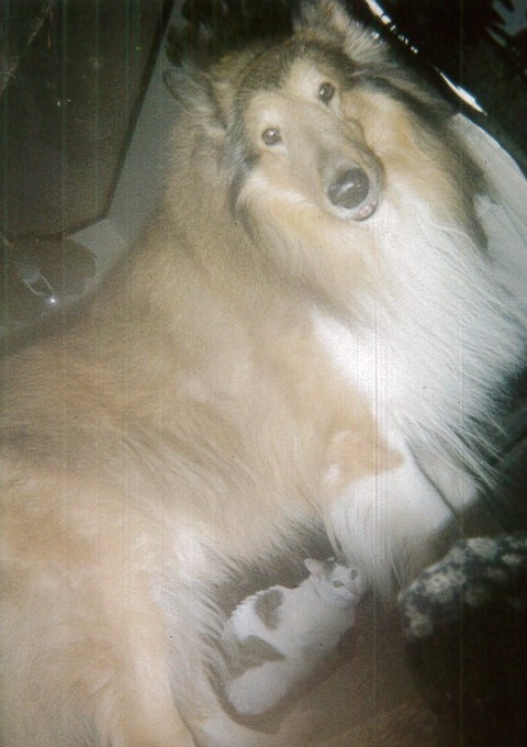 romand@bay.wind.ne.jp_20180914_124318_001