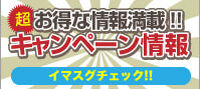 campaign