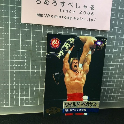 2025年最新】1995プロレスカードの人気アイテム - メルカリ