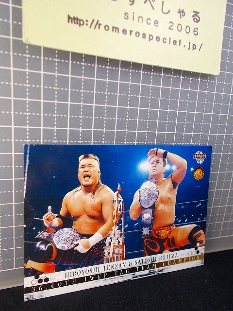 ◇【フィギュア】ハヤブサ(白)Hayabusa/FMW【プロレス格闘技