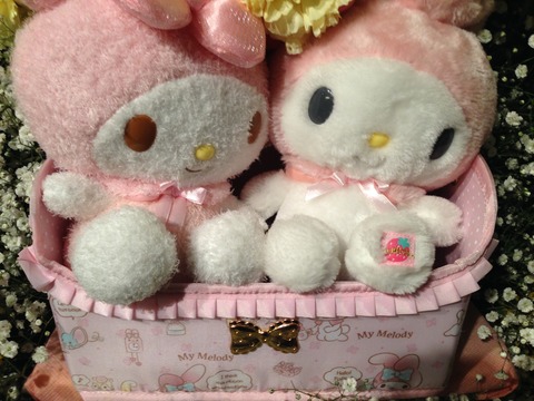写真 2014-03-14 18 12 22