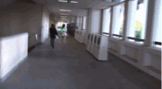 anigif
