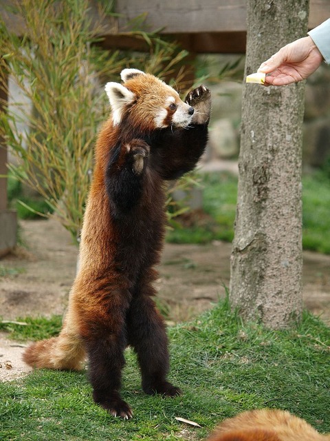 087ab00632067299bd4ec94f40a9c140