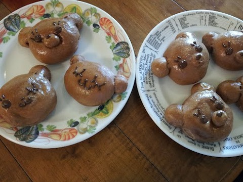 497x373xdeaaab7ddef6b8589c6d8f83