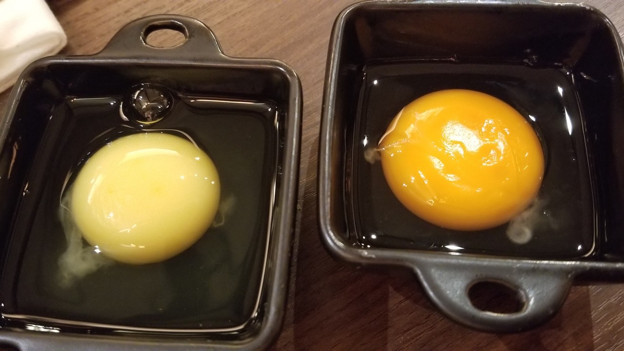 白い卵のオムライス ねこちるオーニャーブログ 千葉県飲食店感染防止基本対策確認店