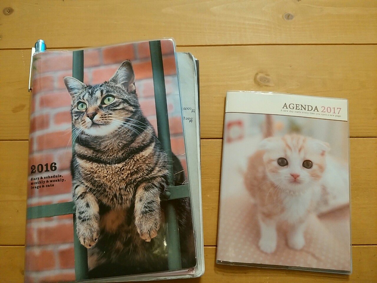 コーヒーの日 ねこちるオーニャーブログ 千葉県飲食店感染防止基本対策確認店