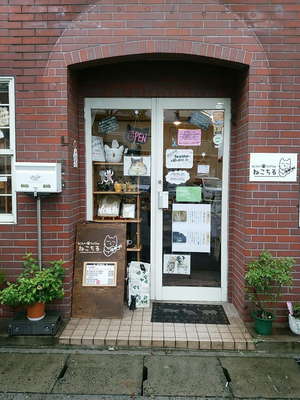 Mr Childrenファンのお客様 ねこちる オーニャーブログ Mr Childrenファンのお客様 ねこちる オーニャーブログ