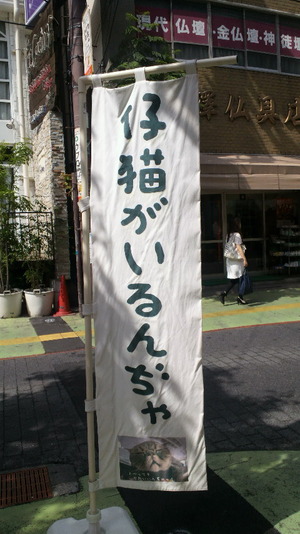 DCIM0091