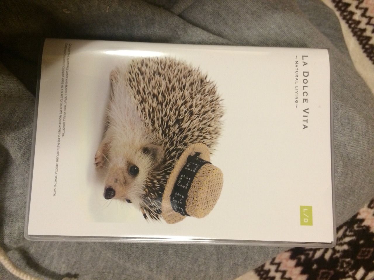 ハリグッズコンプリートへの道 くっちゃ寝ハリネズミ ロンド ハリグッズコンプリートへの道 くっちゃ寝ハリネズミ ロンド