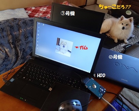 Amazon Renewed PC ﾍﾟｲﾝﾄ