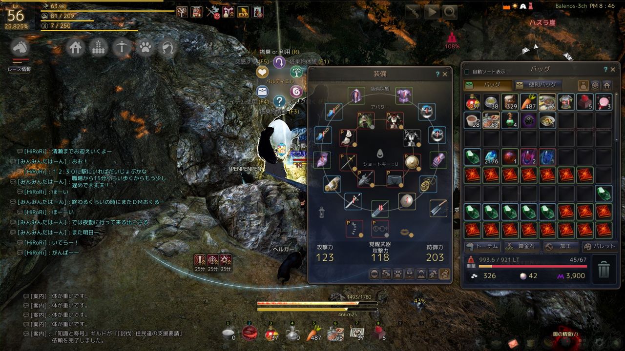 拠点投資10スクロつきハスラ狩りの成果 飼い慣らされたqbの駄馬にっき 黒い砂漠