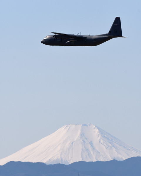 DSC_0659 (2)