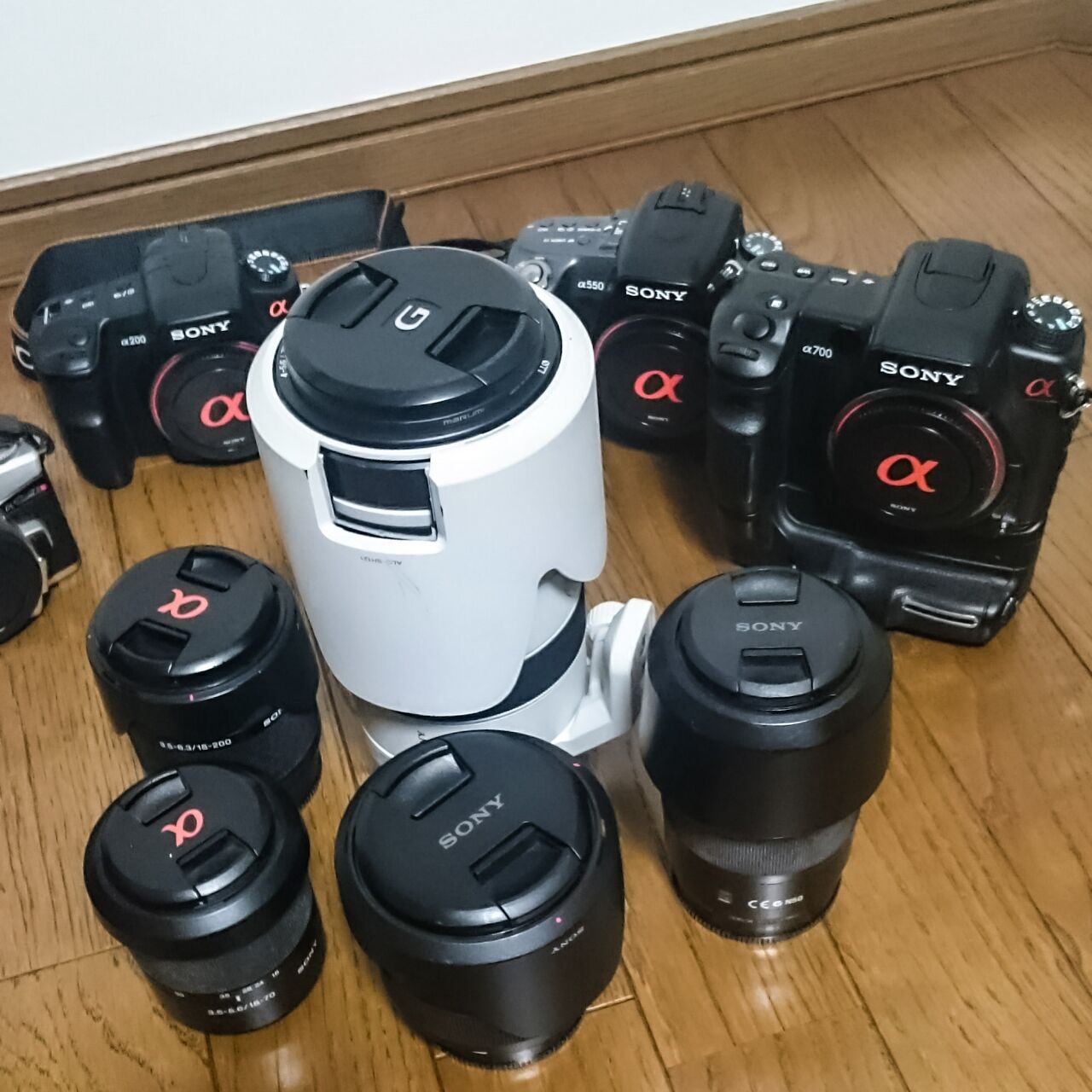 Nikon D500で色々な飛行機を撮りまくってみた！ : Library of Skies 