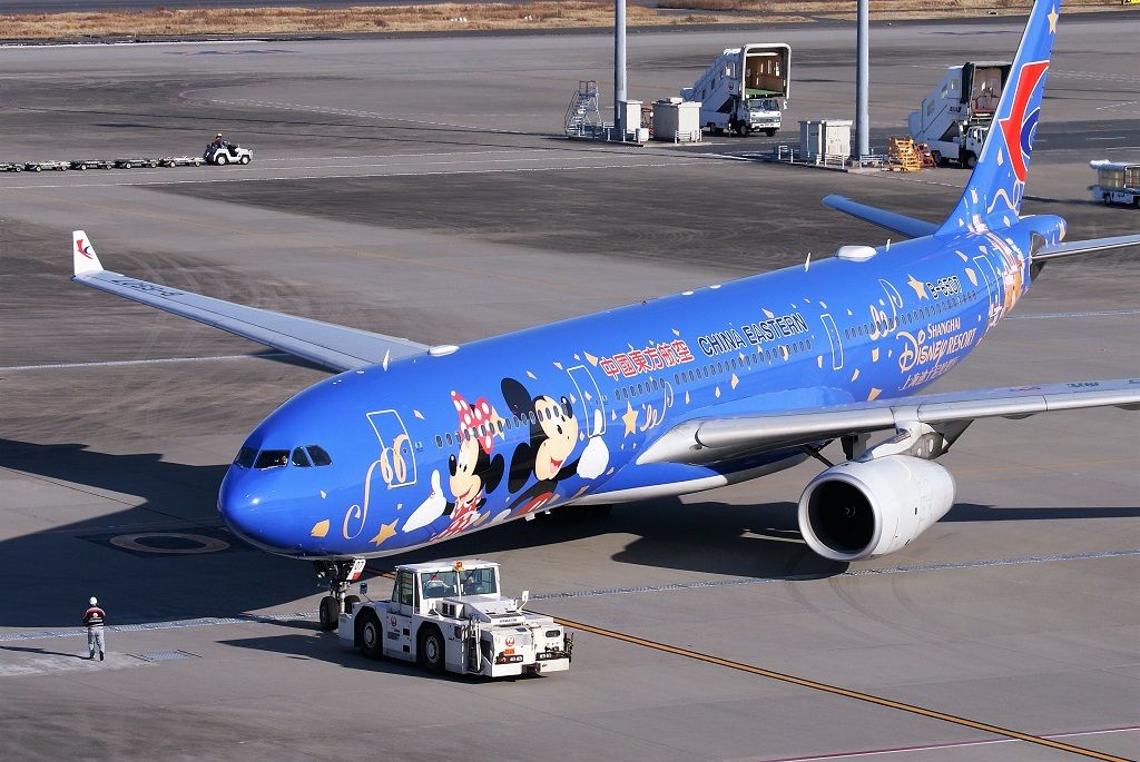 イメージ 8