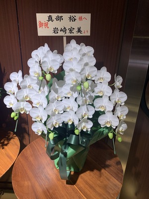 宏美さん花