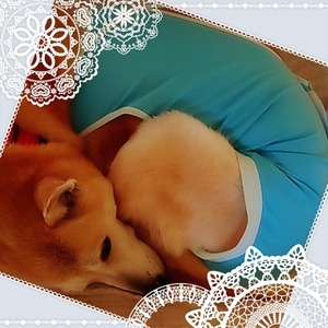 ������Ͽ��3���4��ء�