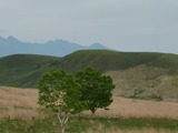 IMG00193