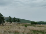 IMG00194