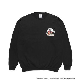 CCSS-SS02-BLK
