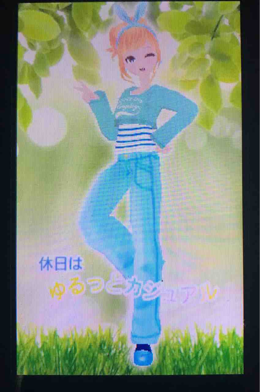 3ds Ds のそのそ 3ds Ds のそのそ