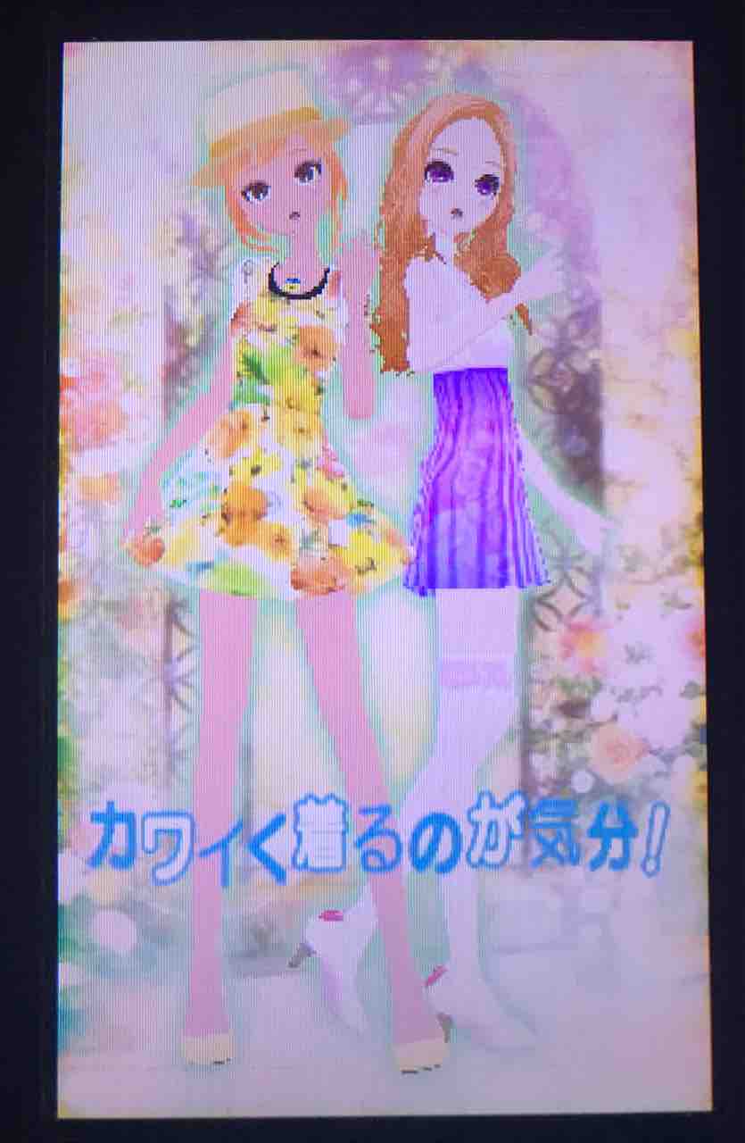3ds Ds のそのそ 3ds Ds のそのそ