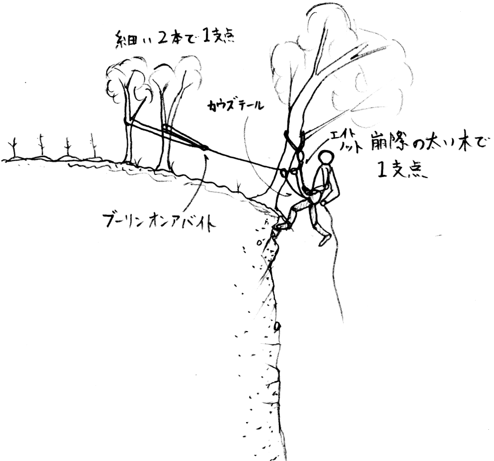 支点 頼りない細めの木からブーリンオンアバイトで 特殊高所技術の広場 ロープ高所作業 ロープアクセス
