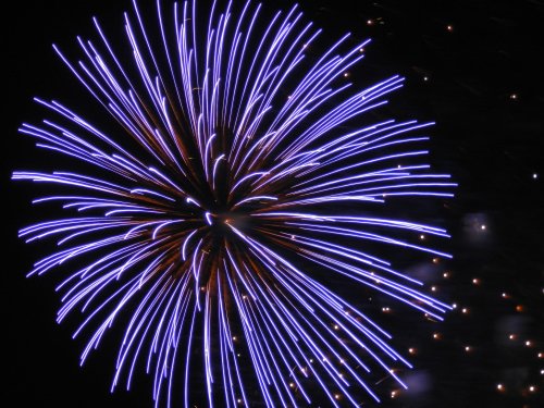 豊岡 柳祭り花火大会 六方たんぼのコウノトリ便り