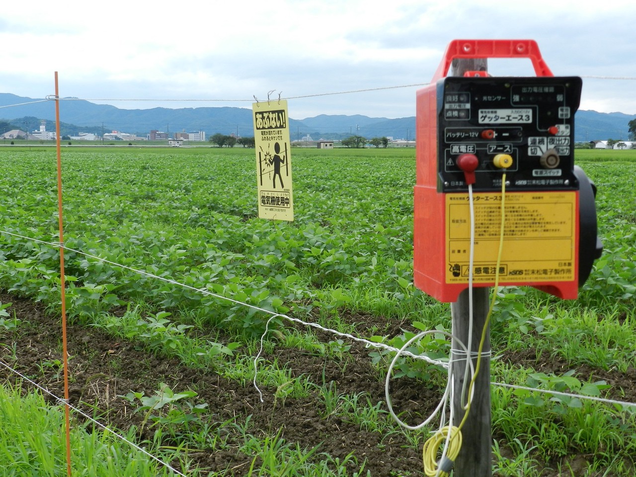 電気柵の事故 六方たんぼのコウノトリ便り 電気柵の事故 六方たんぼのコウノトリ便り