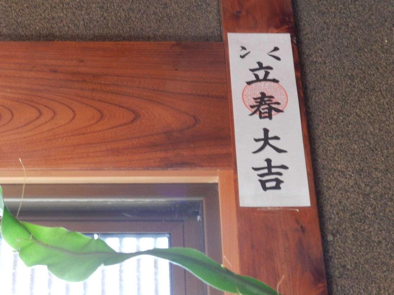 立春と紅梅 六方たんぼのコウノトリ便り