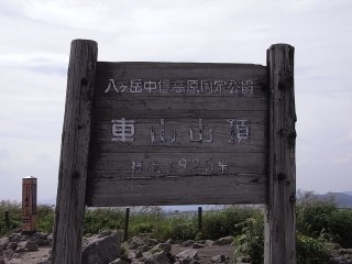 �ֻ���ĺ