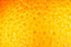 86a95a8bf66227c72bdf0ff574ec0c03_s