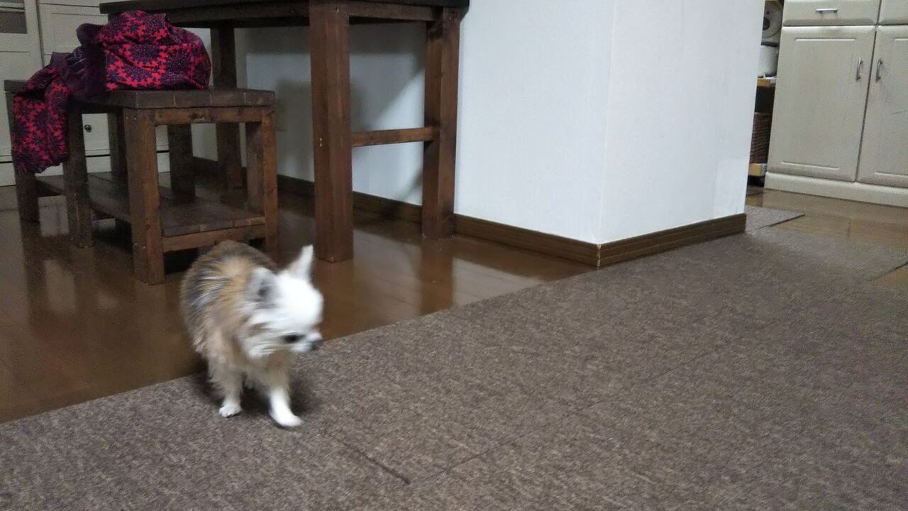 天使か悪魔か おはぎってあたし