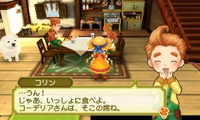 心ときめきするもの 牧場物語 3つの里の大切な友だち 心ときめきするもの 牧場物語 3つの里の大切な友だち