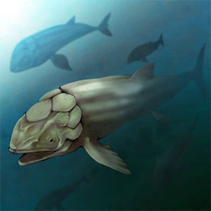 ridosikutexisu