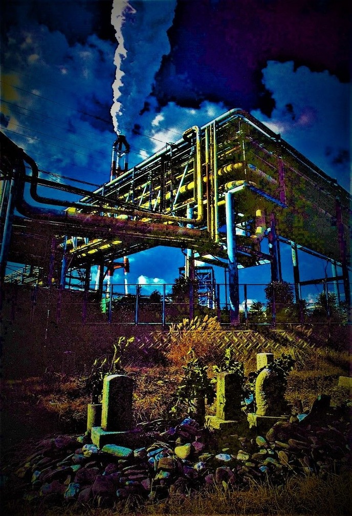 boti-7