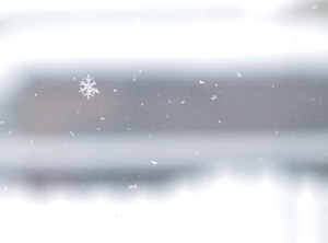 20220214SnowCrystal5