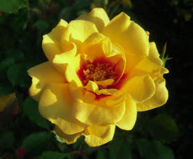 3f2ba5a6.jpg