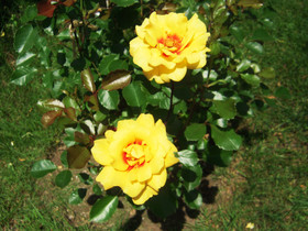 e0162ec1.jpg