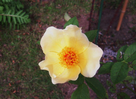 f618df70.jpg