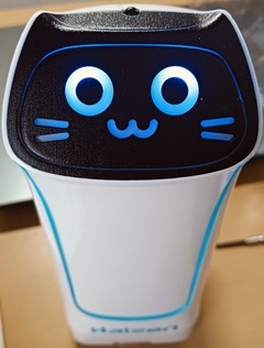 20260628HaizenCat5