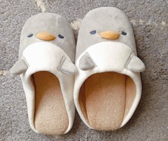 20260405surippapenguin
