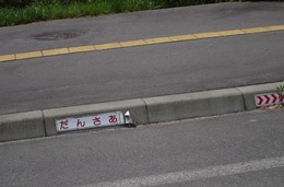 IMGP1819