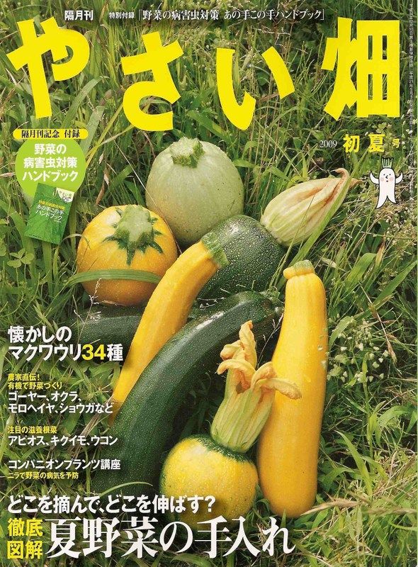 バラとコンパニオンプランツ その効果のほどは 読後充実度 84ppm のお話