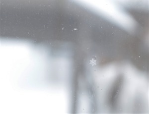 20220214SnowCrystal2