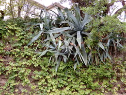 DSCN0292