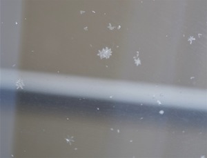 20220214SnowCrystal6