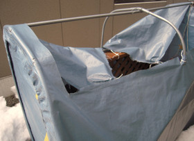 882dd98c.jpg