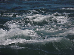 366d342b.jpg