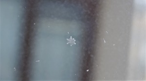 20220214SnowCrystal7
