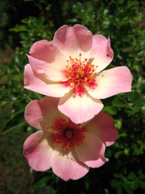 b6aa1f61.jpg